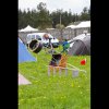 IMGP8943