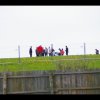IMGP8988