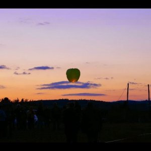 IMGP2754