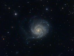 M101