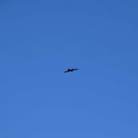 dsc_0117